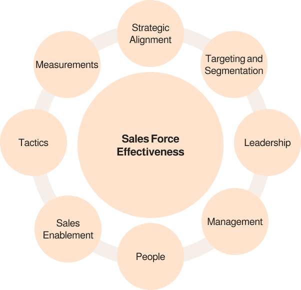 Image displaying 8 components of sales force effectiveness framework